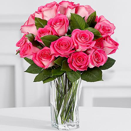 15 Pink Fresh Roses - Sendflowers.pk