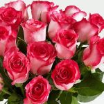 20 Pink Roses of Love-2 - send flowers to lahore pakistan