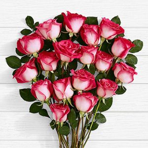 20 Pink Roses of Love - SendFlowers.pk