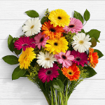 Birthday Lovely Gerbera Daisies - SendFlowers.pk