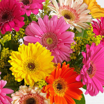 Birthday Lovely Gerbera Daisies2 Send Flowers to Lahore