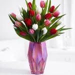 20-Sweetheart-Tulip