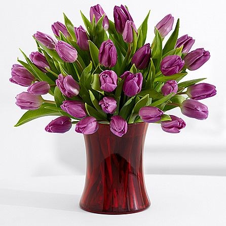 30 Purple Tulips