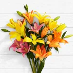 Birthday Lilies