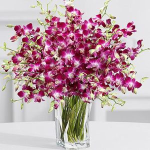Exclusive Purple Birthday Orchids SendFlowers To Pakistan
