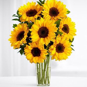 Sunflower Sparkle SendFlowers To Pakistan
