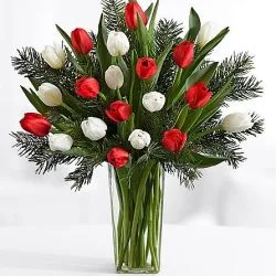 Tulips with Fresh Douglas Fir SendFlowers To Pakistan