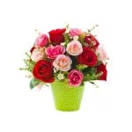Wishes of Roses SendFlowers To Pakistan