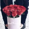 Rose Surprise Box Rose Surprise Box - Online roses box to Pakistan