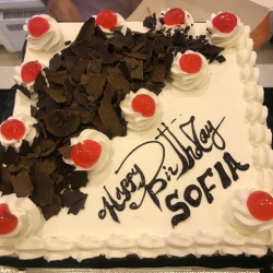 Chocolate Fudge Cake 4LBS - SendFlowers.pk