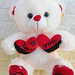 Precious Teddy Bear - SendFlowers.PK