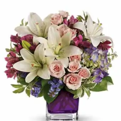Amour Vine - SendFlowers.pk