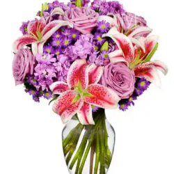 Fling Venture - SendFlowers.pk