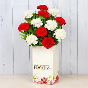 Listen To The Carnations - SendFlowers.pk