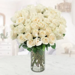 Innocence of Love - SendFlowers.pk - SendFlowers.pk