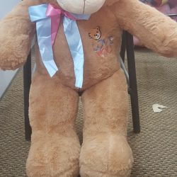 Large Teddy Bear- SendFlowers.pk