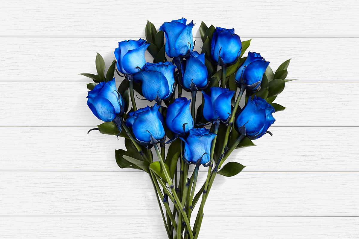 Delivery of Blue Moon Roses on Father's Day