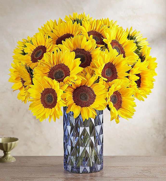 Send this Bouquet of Sunflowers on Birthday
