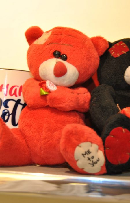 online teddy bear delivery Pakistan