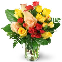 Delivery of Colourful Love Roses in Pakistan