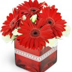 Delivery of Never Stop Loving You in Pakistan
