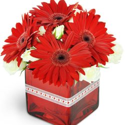 Delivery of Never Stop Loving You in Pakistan