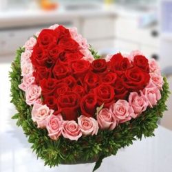 Best Flowers Website - SendFlowers.pk