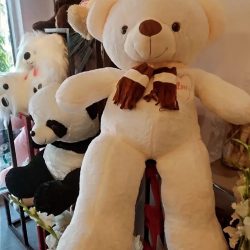 Chubby_SendFlowers.pk_Delivery in Pakistan