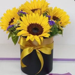 Sun Box For Mother