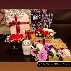 All in One Offer For Women