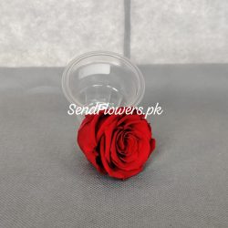 Love Rose Preserved Rose Lahore - SendFlowers.pk