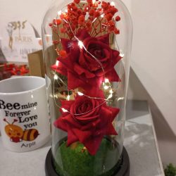 Glass Dome Rose - Flask Rose