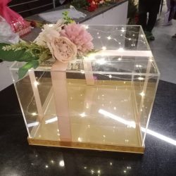 Empty Acrylic Box