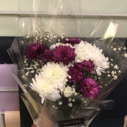 Chrysanthemum Flowers - Sendflowers.pk