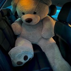 Birthday Teddy Bear - SF Pakistan