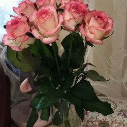 Bunch of Pink Roses - Sendflowers.pk