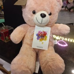 Get Well Soon My Teddy