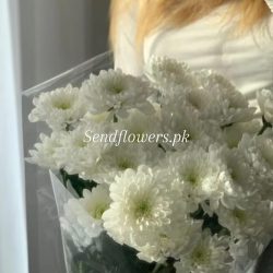 Flowers Delivery to Pakistan from UAE - SendFlowers.pk