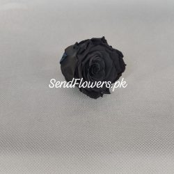 Black Preserved Rose - SendFlowers.pk