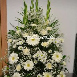 I am Sorry Flowers Lahore - SendFlowers.pk