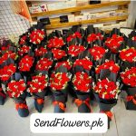 Valentine Flowers Deal Lahore - SendFlowers.pk