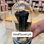 Black Preserved Rose Islamabad - SendFlowers.pk
