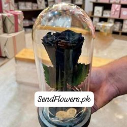 Black Preserved Rose Islamabad - SendFlowers.pk