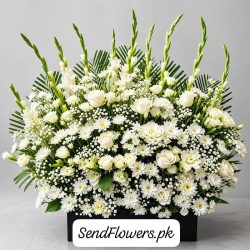 Sorry for the Loss Flowers Lahore - SendFlowers.pk
