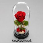 Rose in a Glass Dome Lahore - SendFlowers.pk