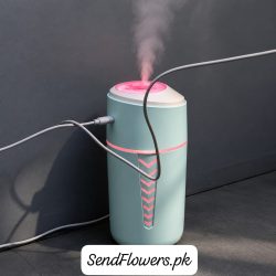 Humidifier for your room Lahore - SendFlowers.pk