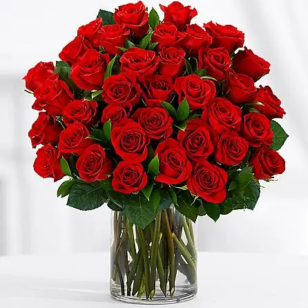 Valentine Roses to Pakistan - SendFlowers.pk