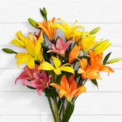 Birthday Lilies