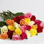 Two Dozen Mother’s Day Roses-a