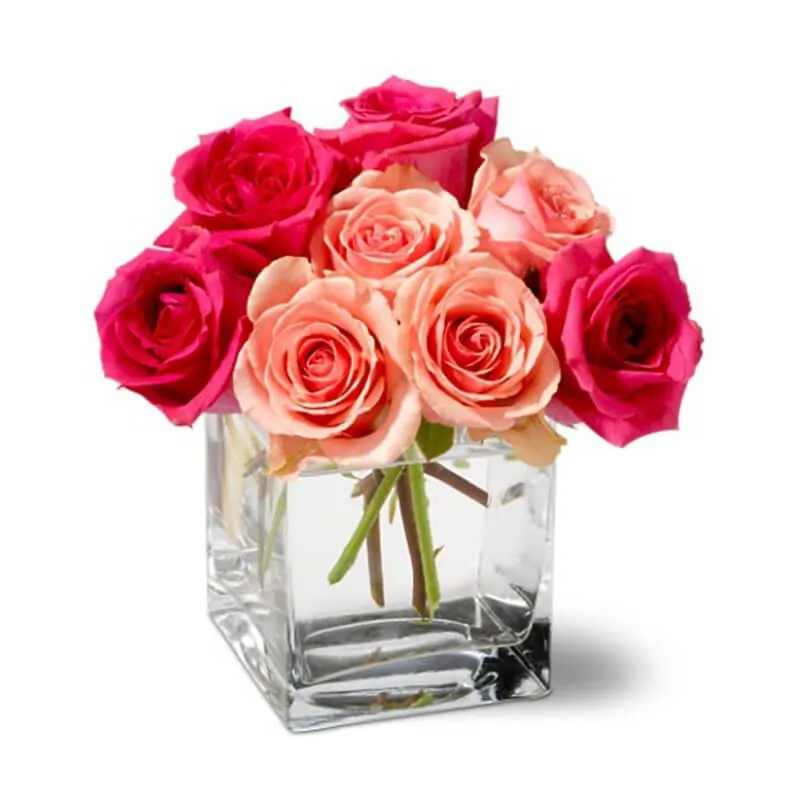 BUNCH OF PINK & RED ROSES